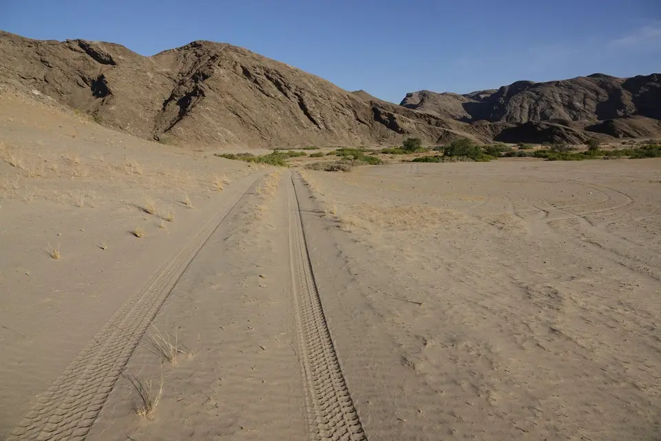 307TrackzumWildcamp.jpg