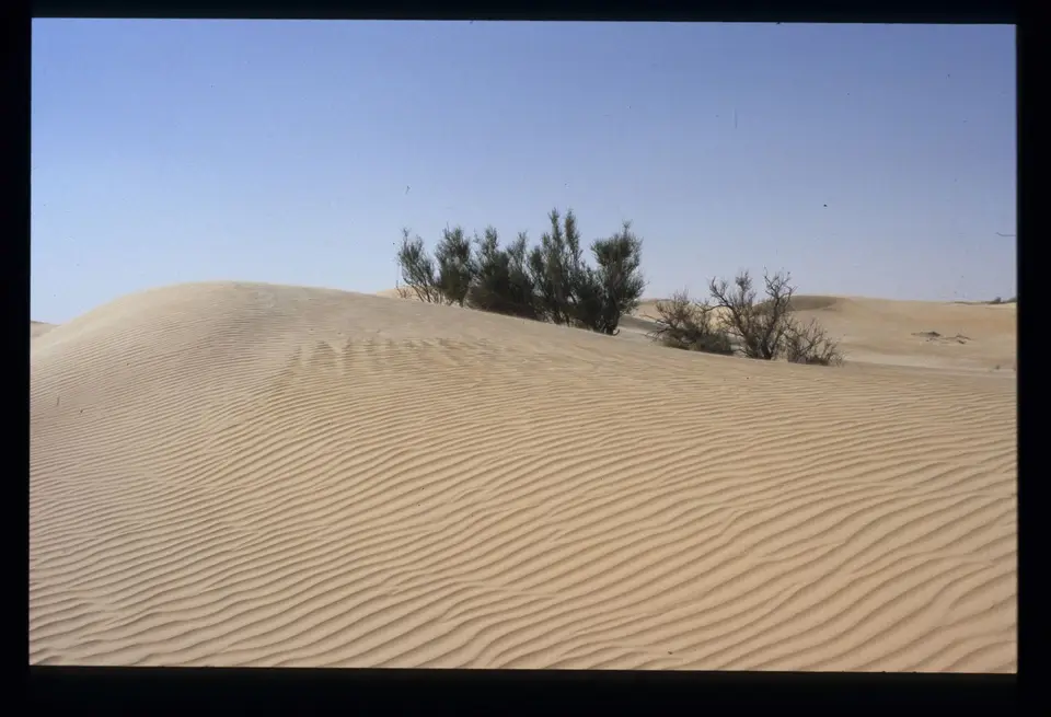 Algerien036.jpg