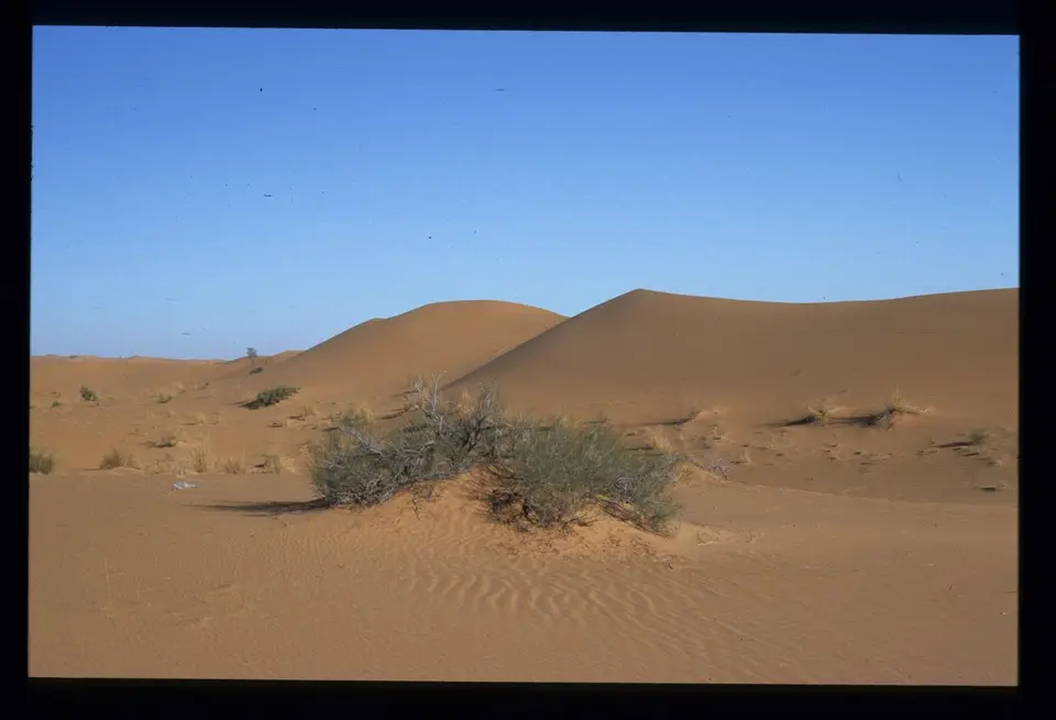 Algerien053.jpg
