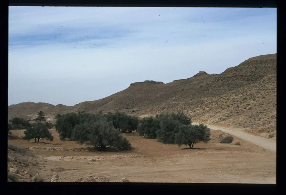 Algerien078.jpg