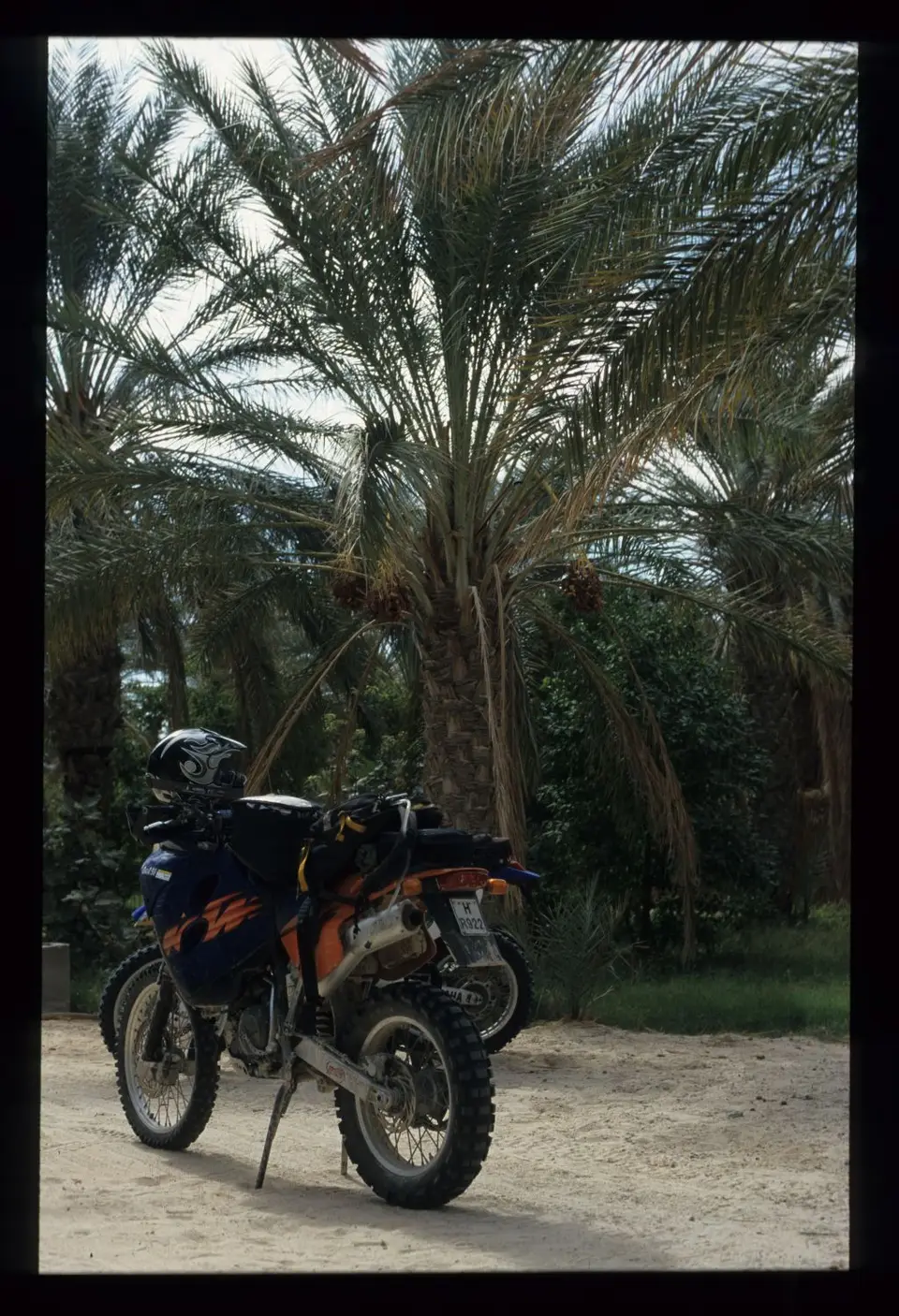 Algerien085.jpg