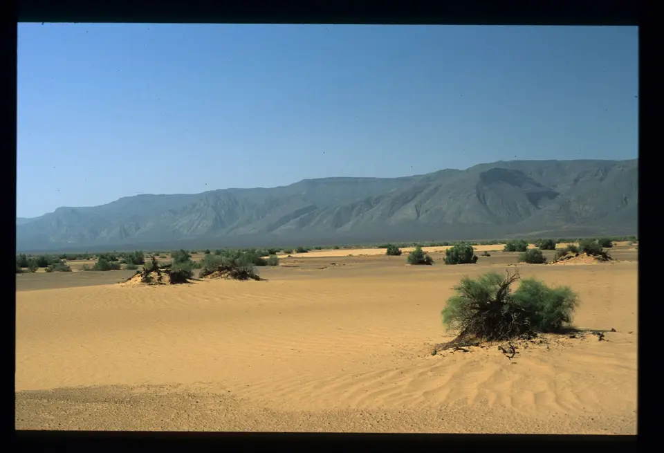 Algerien144.jpg