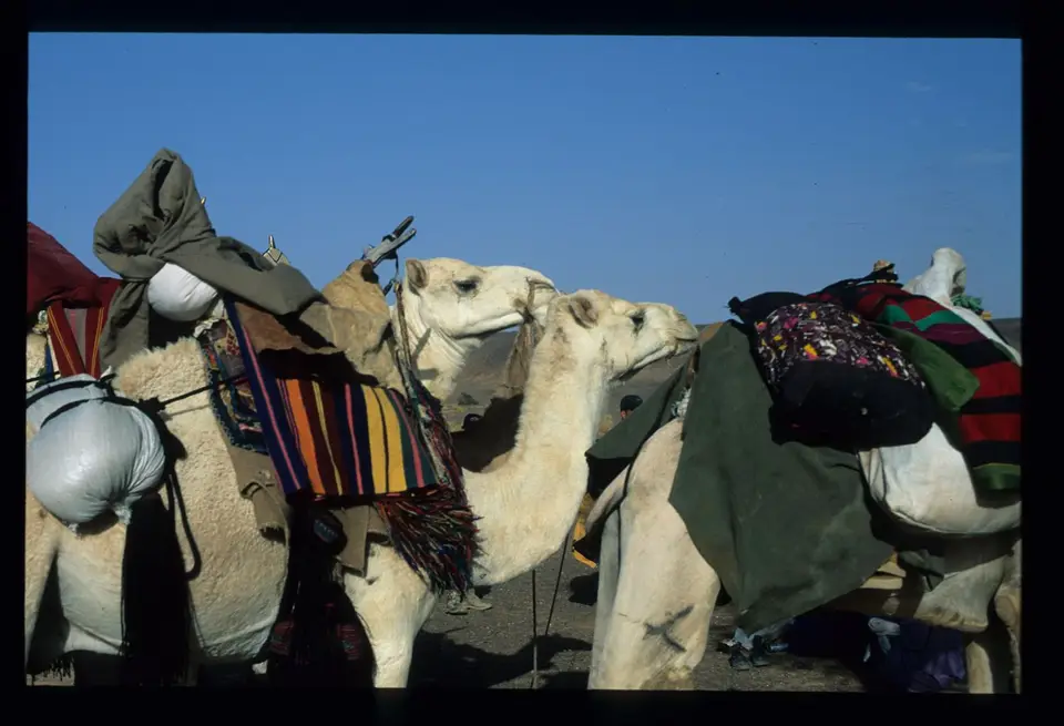 Algerien157.jpg