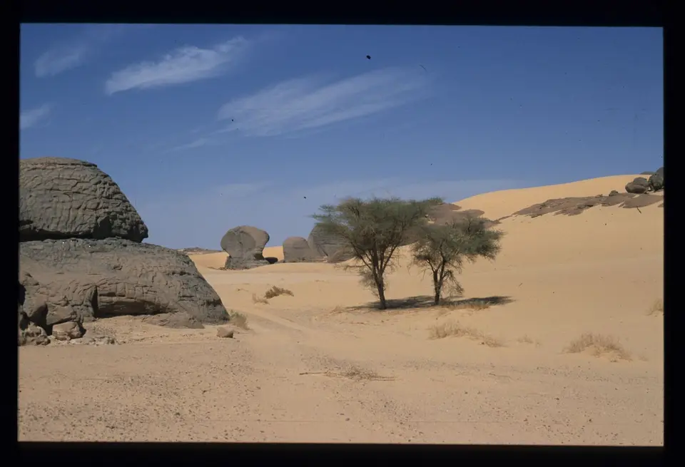 Algerien248.jpg
