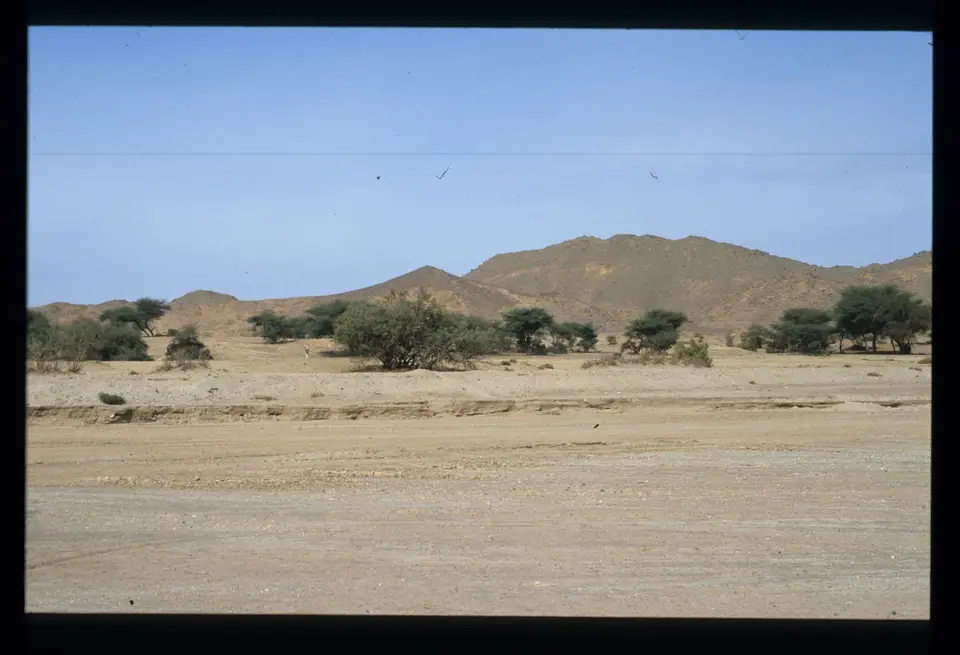 Algerien261.jpg