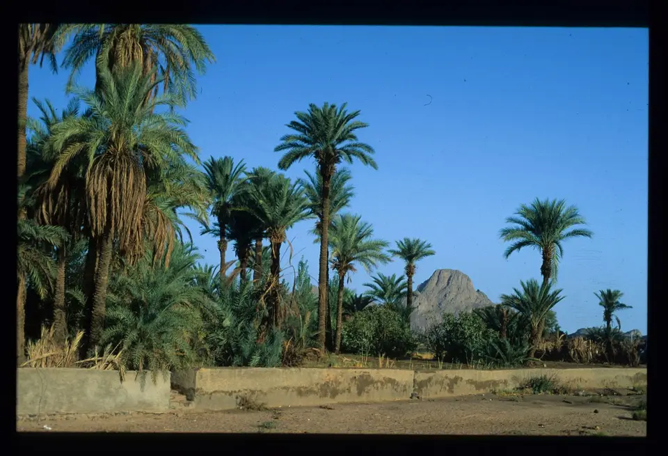 Algerien348.jpg