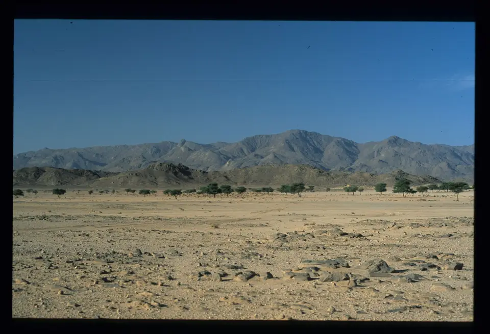 Algerien364.jpg