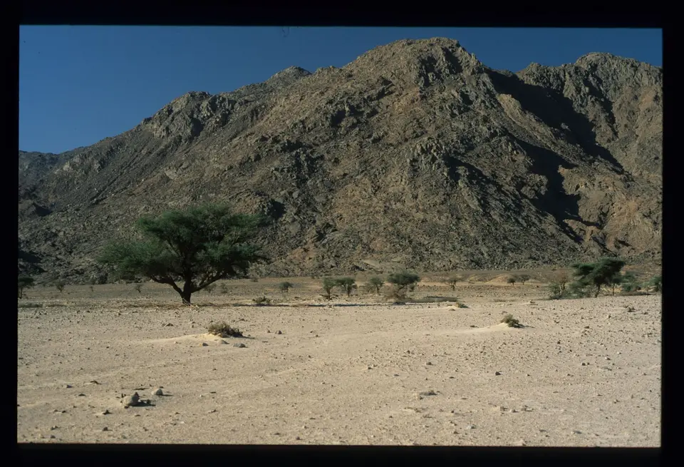 Algerien372.jpg