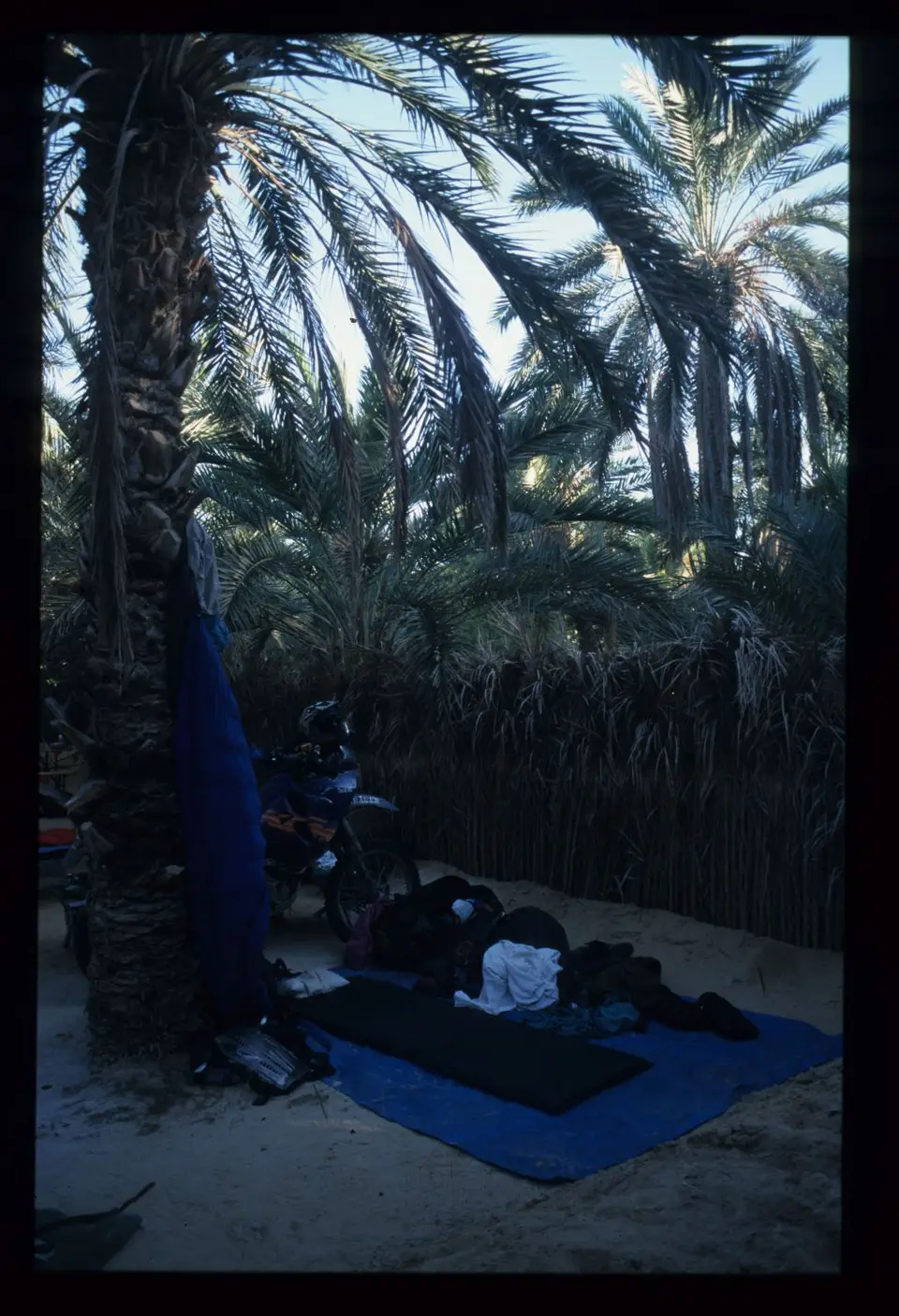Algerien401.jpg