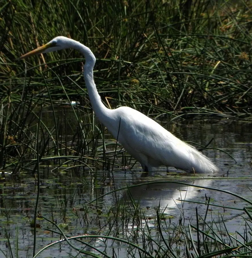 hc68c31d.JPG