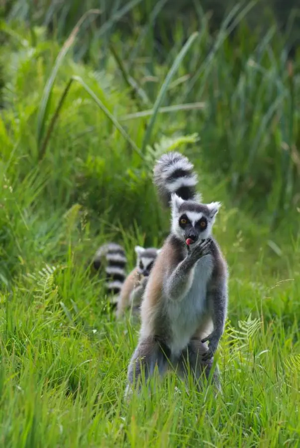 DSC_1716_small.jpg