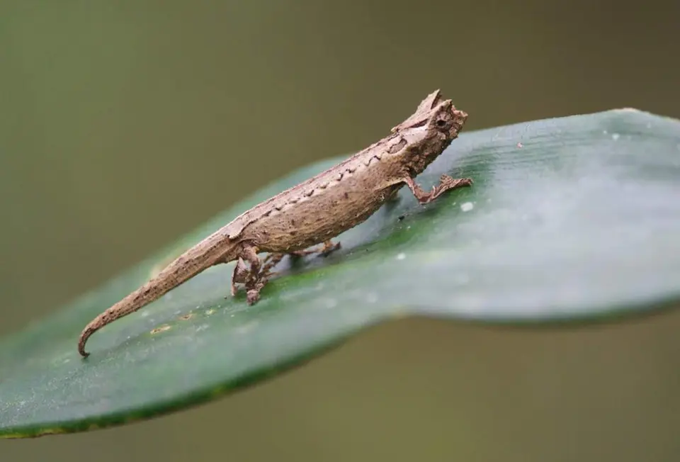 DSC_2560_small.jpg