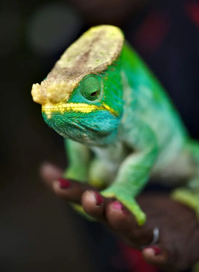 DSC_3208_small.jpg