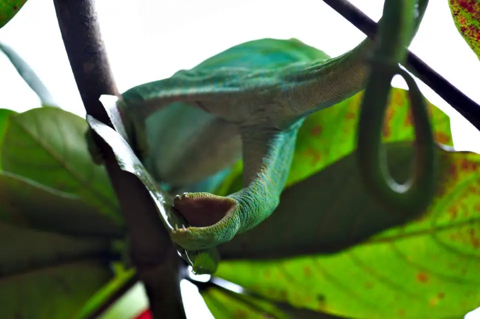 DSC_3240_small.jpg