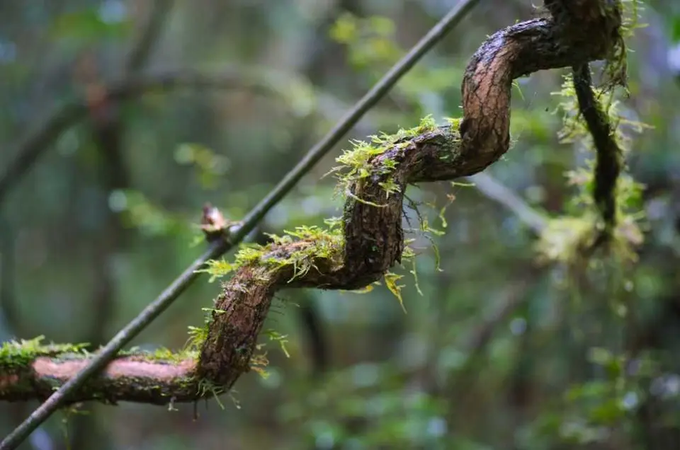 DSC_3381_small.jpg