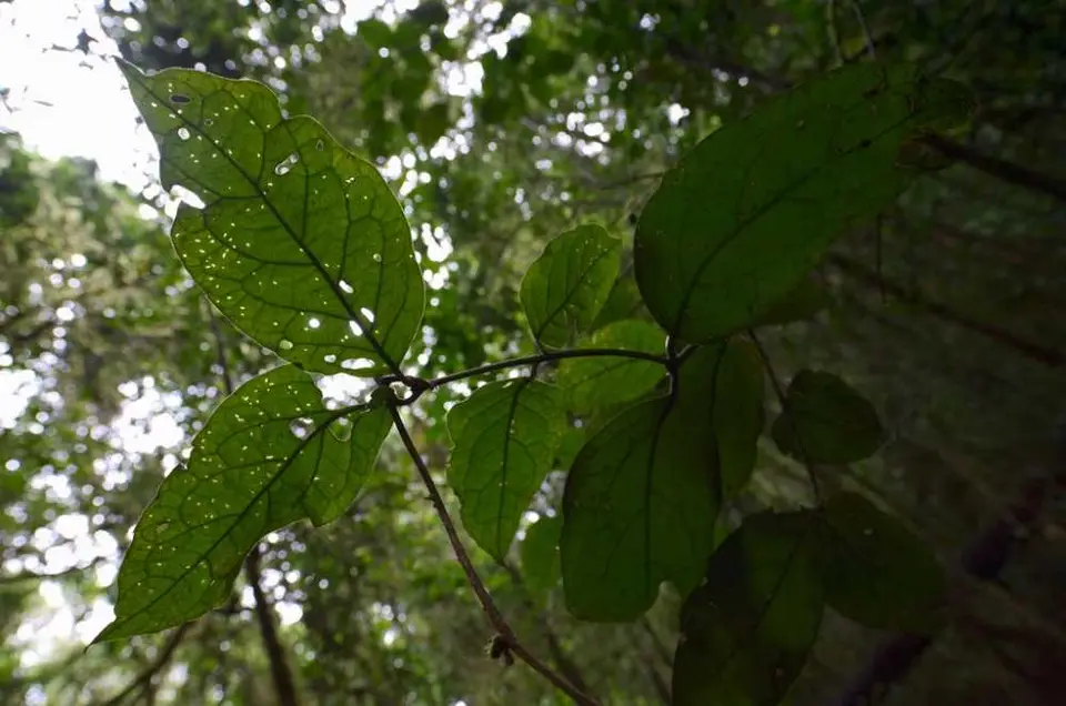 DSC_3538_small.jpg
