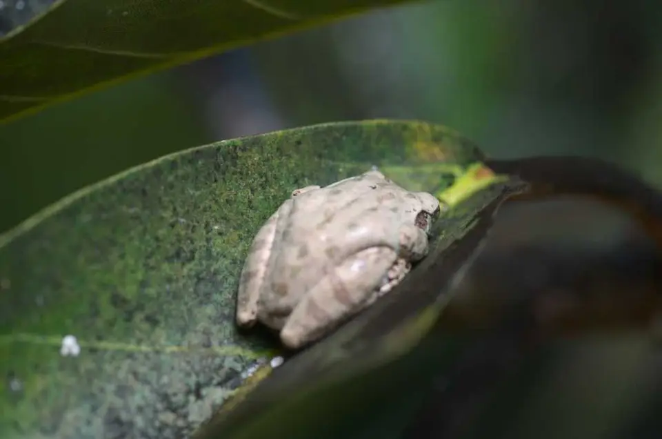 DSC_3639_small.jpg