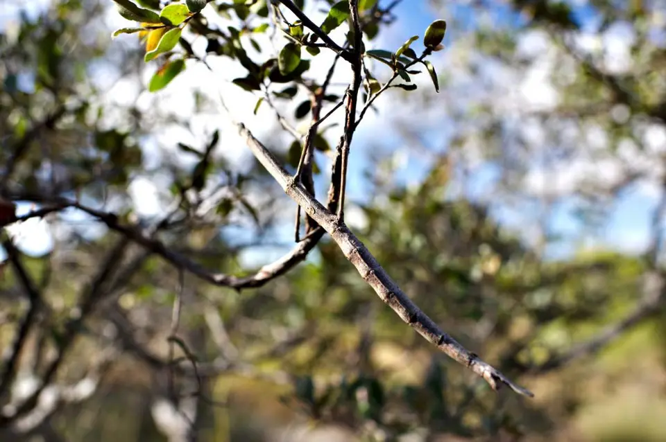 DSC_5963_small.jpg