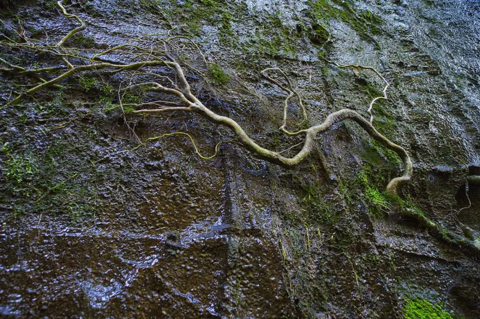 DSC_6123_small.jpg