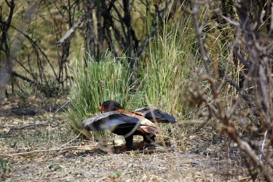 Namibia_2012_08_31107.JPG