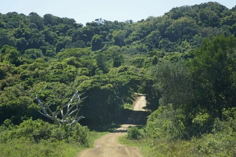 h0bb2720.jpg