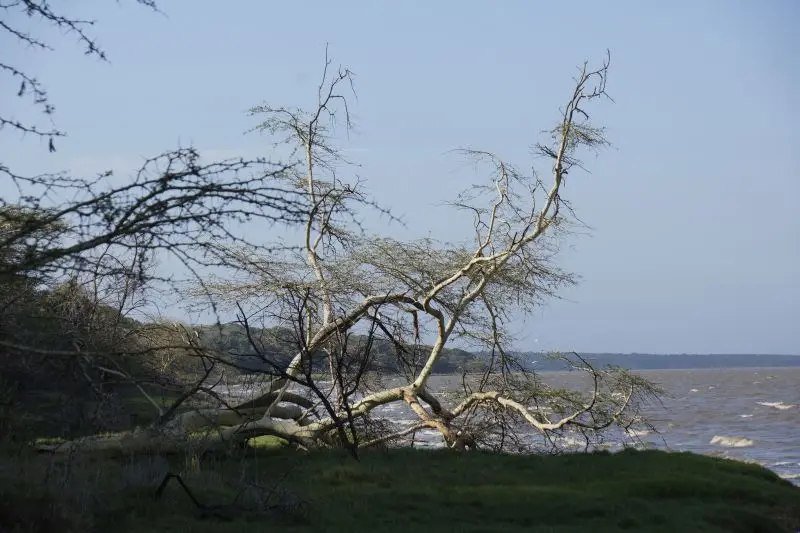 hc6d7eab.jpg