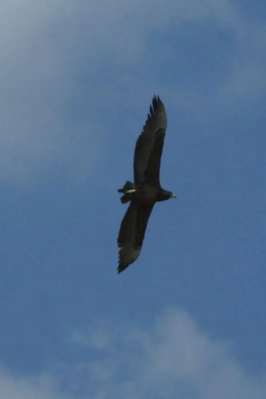 hf5c046f.jpg