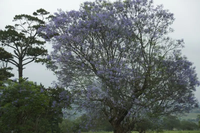 hf746656.jpg