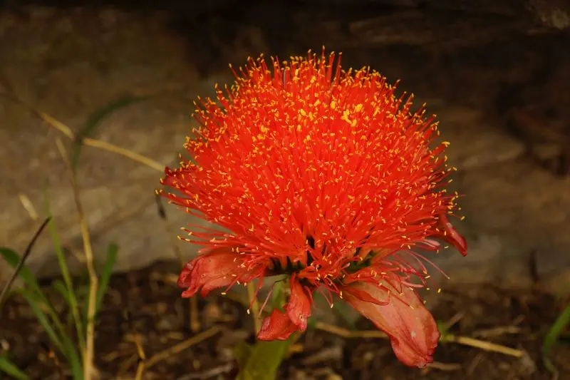 hf9a892f.jpg