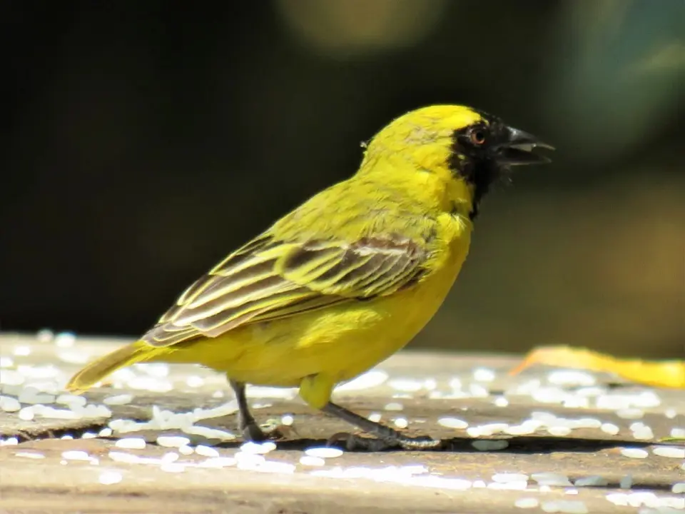 IMG_2615.JPG