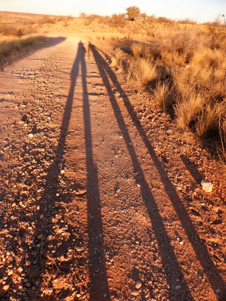 P1100990.JPG