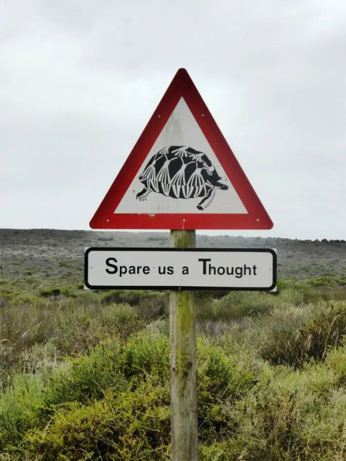 h0a7b256.JPG