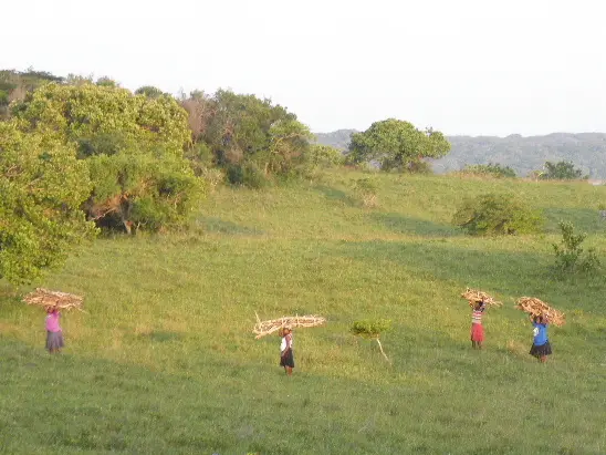 12DSCF1947a.JPG