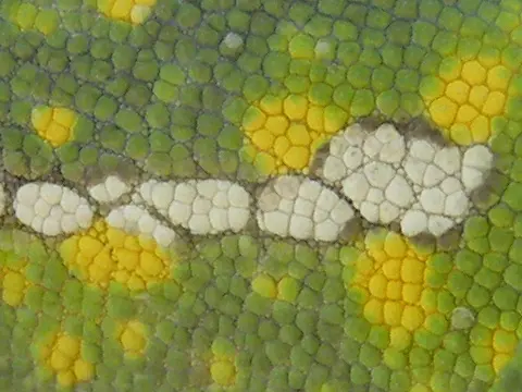 12DSCF2810b.JPG