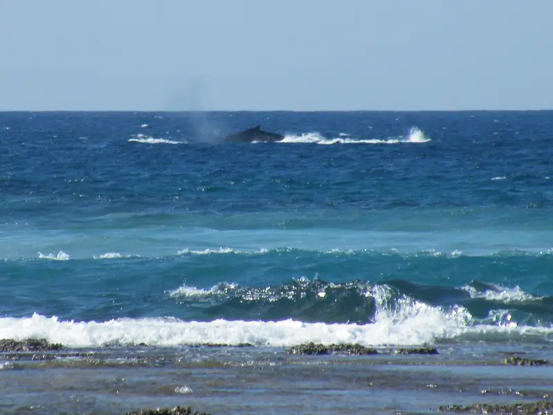12DSCF6813.JPG