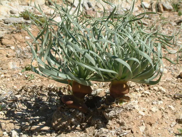 3DSCF7151.JPG