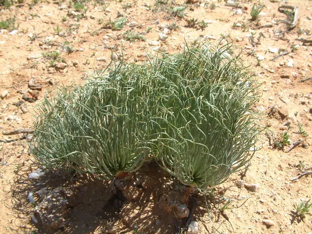 3DSCF7239.JPG