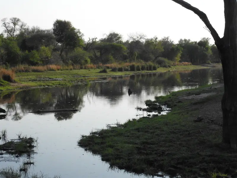 6DSCN1973.JPG