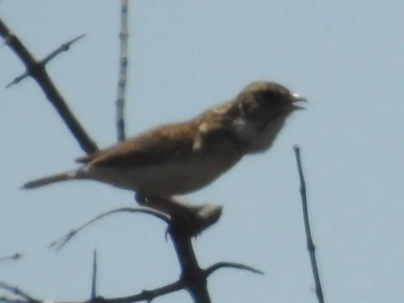 6DSCN4743.JPG