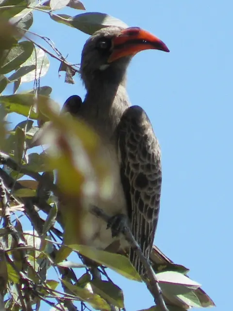 h2390153.JPG