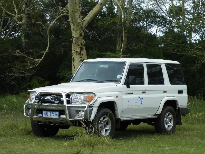 h90c8857.JPG