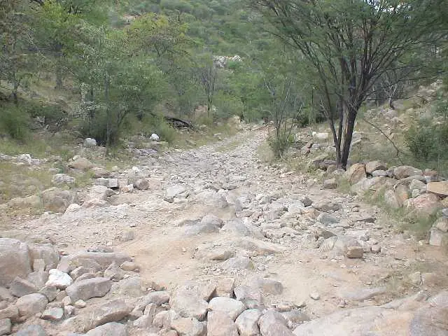 NamibiaApril-Mai2006109.jpg
