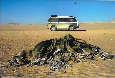Scan0020.jpg