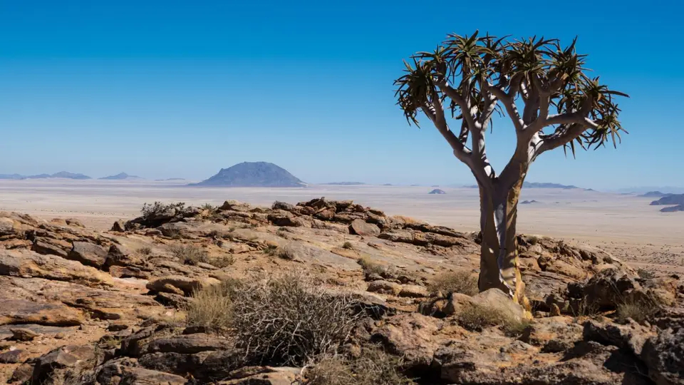 2018_43949_NamibiaKleinAusVistafarmdrive.jpg