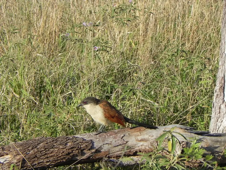 DSCN4703.JPG