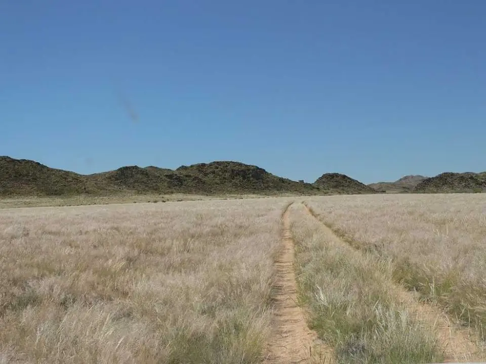WildebeestDrive8.JPG