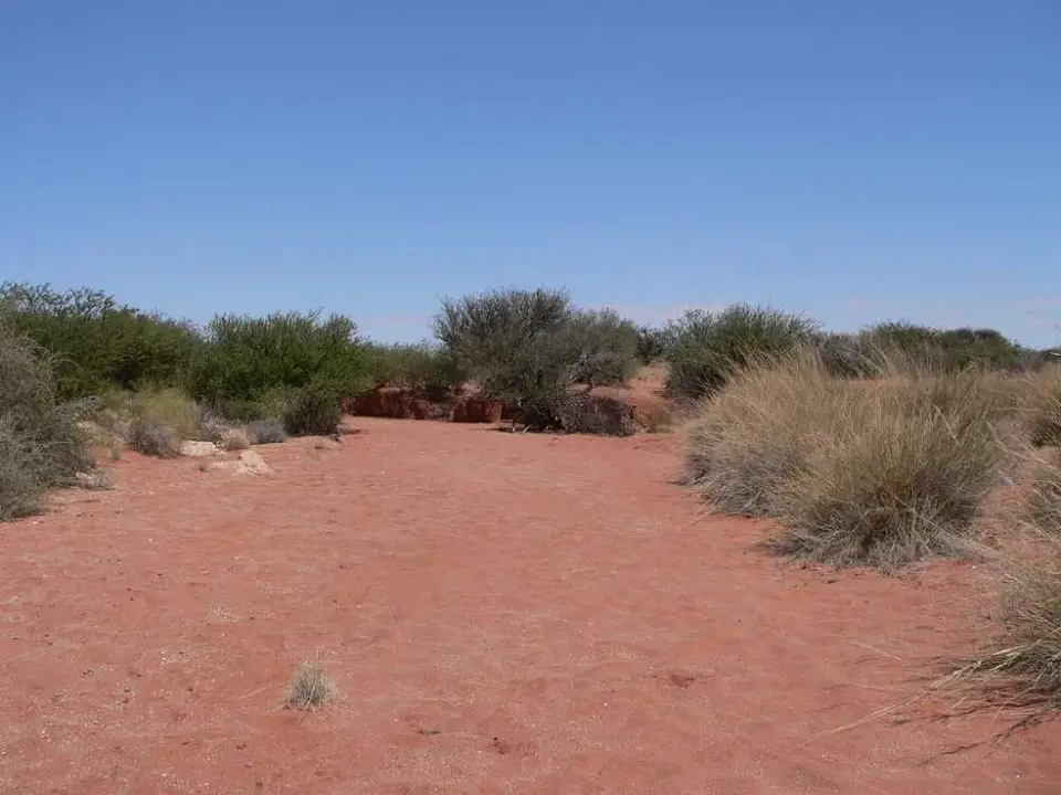 WildernessArea1.JPG