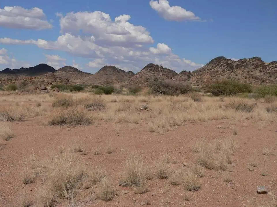 Wilderness Area3.JPG