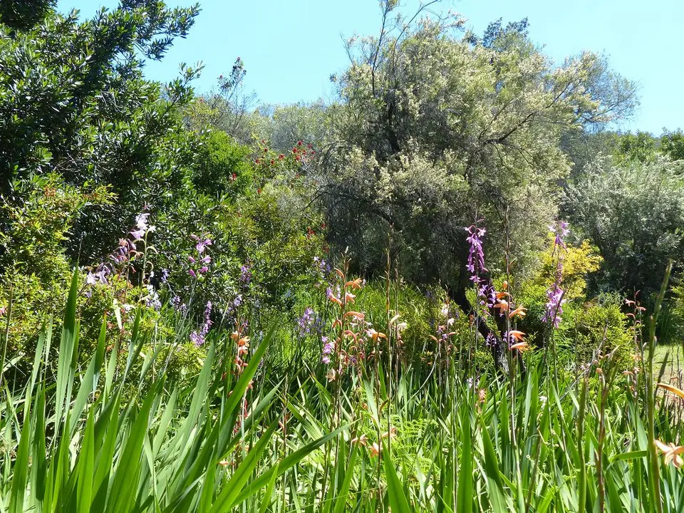 h00ab607.jpg