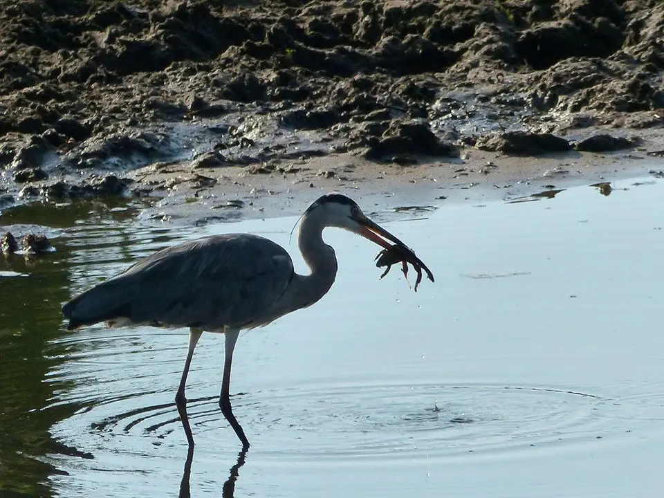 h03bc5ad.jpg